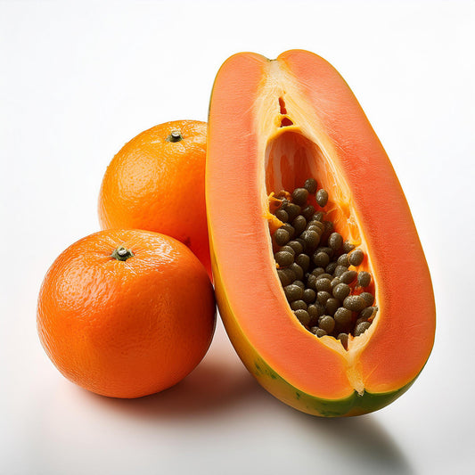 ホンジュラス エル・モナルカ農園 イシドロ・ロドリゲス IH90